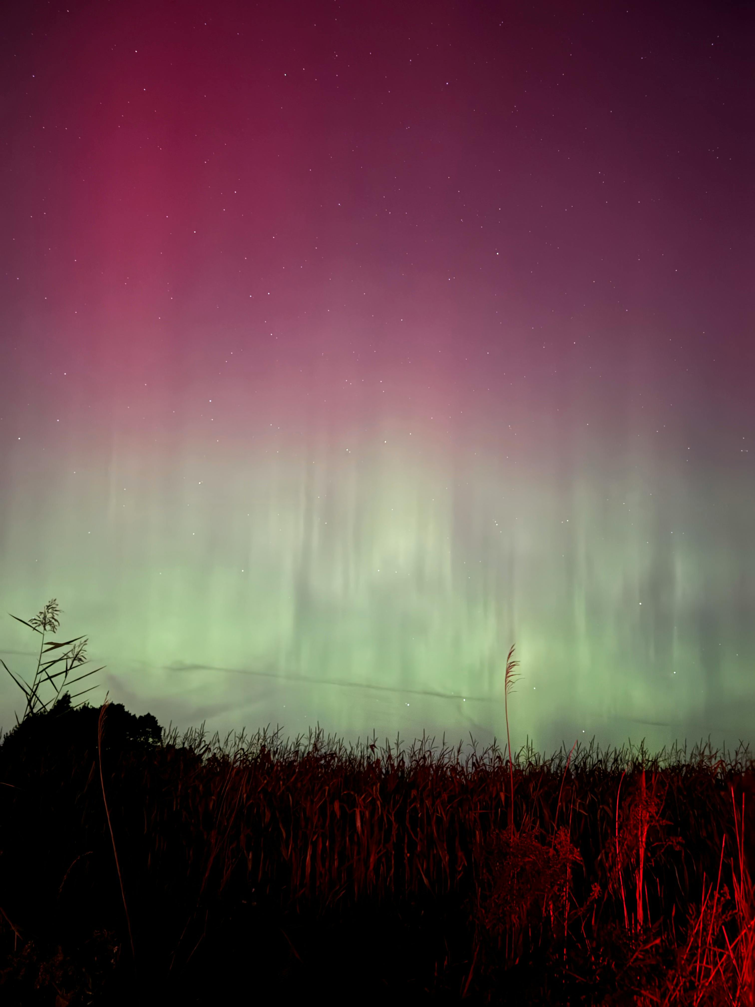 Vibrant aurora borealis over a silhouetted field at night